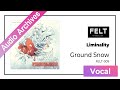 FELT 03 Liminality FELT 009 Ground Snow Audio Archives FELT 03 Liminality FELT 009 Ground Snow Audio Archives