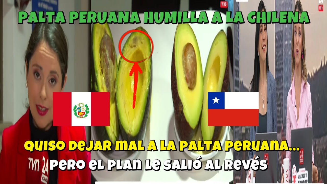 QUISIERON HUMILLAR A LA PALTA PERUANA… ¡PERO TERMINÓ SIENDO LA MEJOR!