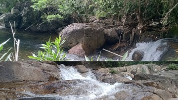 Một mình đi vào rừng lạc đường phải quay lại, cảnh đẹp thác nước núi rừng Tây Nguyên