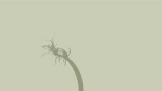 3D Tree Created Using Cinder