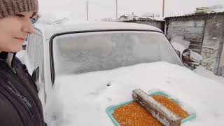 картинка: Готовлю сало в духовке 👍и выпекаю хлеб три в одном 🙂сколько снега навалило😲
