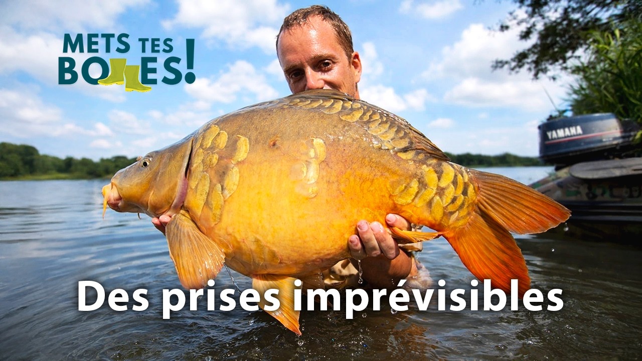 Jean-Baptiste Morel face aux carpes sauvages d’Afrique du Sud