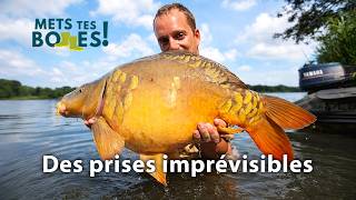 Jean-Baptiste Morel face aux carpes sauvages d’Afrique du Sud