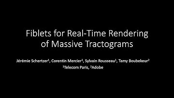 EG2022 - Fiblets for Real-Time Rendering of Massive Brain Tractograms