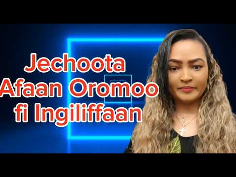 Learn Afan Oromo Learn Afan Oromo In Amharic Oromo Language Oromo Kemo Tube 