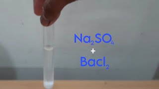 Double Displacement Reaction | Reaction Between Sodium Sulphate And Barium Chloride