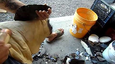 Spalling Obsidian large biface 4/5