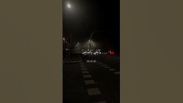 راحه لقلبك // اكتب شيء تؤجر عليه القارئ اسلام صبحي ❤️‍🩹😴