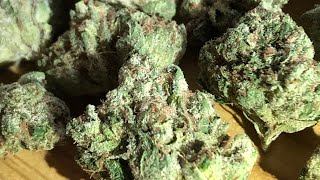 Triangle octane strain review