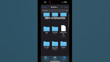 How to BP edit on iPhone/ipad
