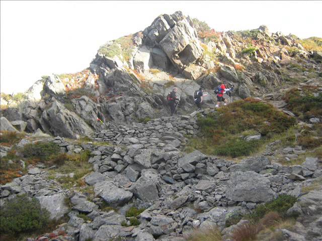 trail des aiguilles rouges 2013 poster
