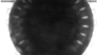 Avanos Halı Saha -2 - 23-09-2016 233001 - Sosyalhalisaha