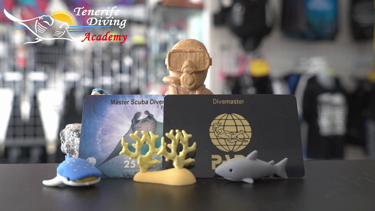 PADI Divemaster or PADI Master Scuba Diver... whats the difference