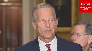 Reporter Asks John Thune Point-Blank: How Long Will House Wait To Pass DHS Funding Bill?