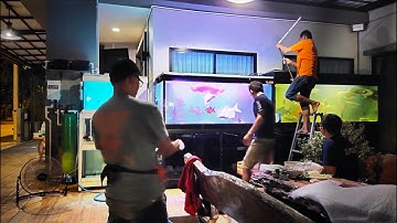 Joe ร่มเกล้า - งานล้างตู้ปลาใบ 5 ใบใหญ่ + สลับที่ตู้ปลา/เชื่อม O4FS + เปลี่ยนอุปกรณ์ภายในตู้ Set 3