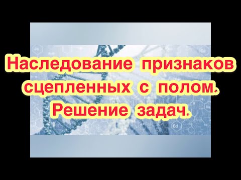 Наследование признаков сцепленных с полом. Решение задач.