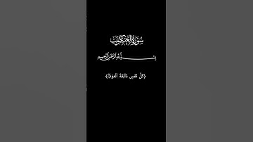 سورة العنكبوت _ آية(٥٦ ~ ٥٧) _ القارئ عبدالرحمن مسعد #القرآن_الكريم #عبدالرحمن_مسعد #راحه_نفسيه