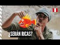 Pescamos Pirañas en el RÍO AMAZONAS 😱 - #72 (WITH ENGLISH SUBS)