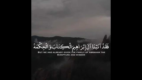 سورة النساء الاية (54) - ياسر الدوسري #قرآن #القرآن_الكريم #ياسرالدوسري #سورة_النساء