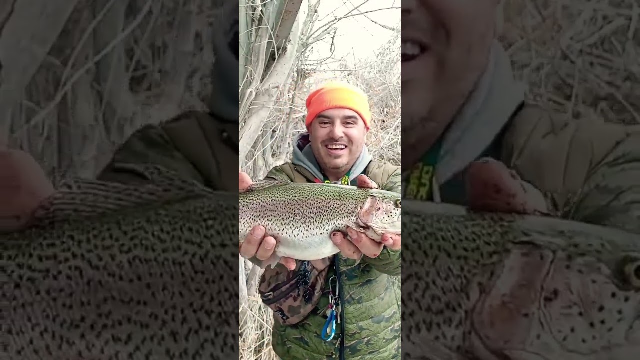 how to catch big idaho Trout? 