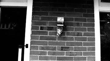 3D tracking test Boujou - 3D Max - After Effects