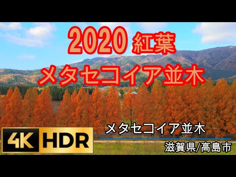 フライト歴8年の実績と経験！全ジャンル対応！！国交省に全国包括申請済み。