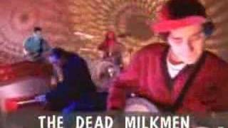 Watch Dead Milkmen The Secret Of Life video