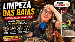 Como limpar o galinheiro de maneira eficaz | Coração Campeiro 