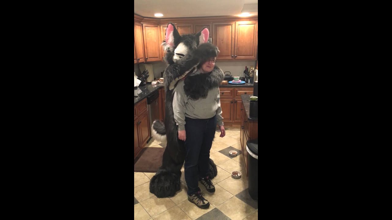 Furry hug YouTube