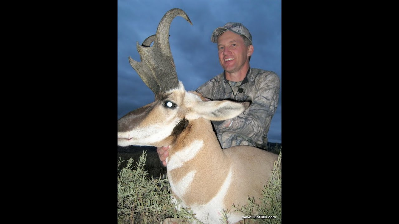 (How to) DIY Hunting Pronghorn Antelope put 'em to bed; tag 'em in
