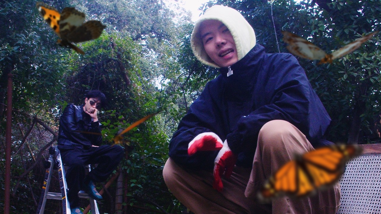 Watch DANTYMN - BUTTERFLY (Official Video) on YouTube Watch DANTYMN - BUTTERFLY (Official Video) on YouTube