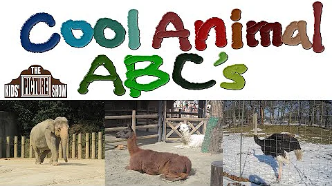 Cool Animal ABC's - Zoo Alphabet - The Kids' Picture Show (Fun & Educational Learning Video)