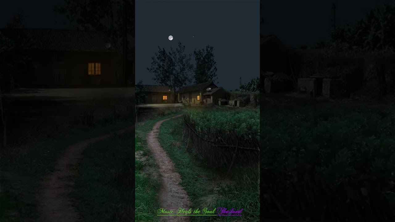 หลับฝันดีด้วยความปรารถนา! ฟังแค่ 5 นาทีก็จะหลับสบาย 😴 เพลงนอนไม่หลับ เพลงผ่อนคลาย 