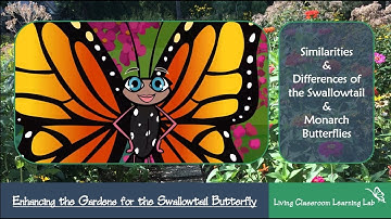 The Living Classroom Learning Lab