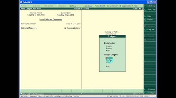 Multiple Ledger Creation