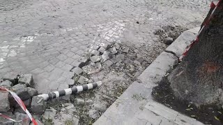 Бетонираните Дървета На Ул. Парчевич Поредният Идиотски Ремонт В София