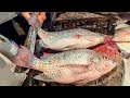 Popular Big Tilapia Fish Cutting In Fish Market | Amazing Fish Cutting Skills