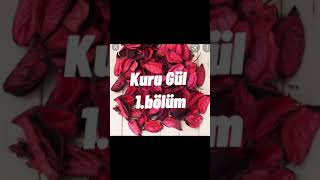 Kuru Gül 1. *950 Abonede Devam* (Yeni Dizi)~Seda