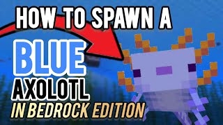 How to spawn the BLUE AXOLOTL in Minecraft bedrock edition!