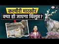 Kashmir Markhor | Wildlife Conservation | Daily Current News | Drishti IAS