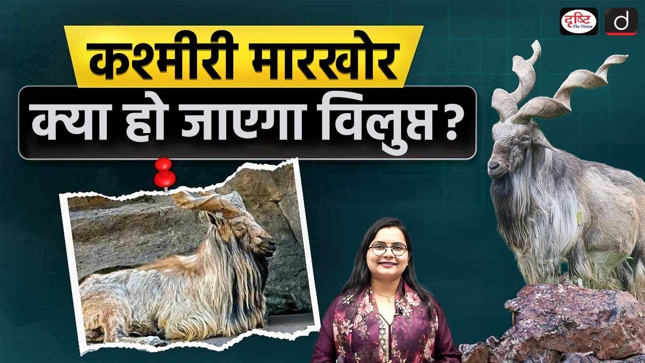 Kashmir Markhor | Wildlife Conservation | Daily Current News | Drishti IAS