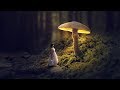 Glowing mushroom  photoshop fantasy manipulation tutorial