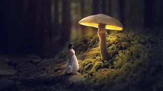 Glowing Mushroom - Photoshop Fantasy Manipulation Tutorial