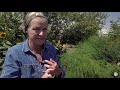 Food Forests - Farm to Fork Wyoming