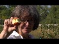 Food Forests - Farm to Fork Wyoming