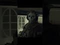 COD Ghost Stare Meme Template 2 (Perfect Loop)