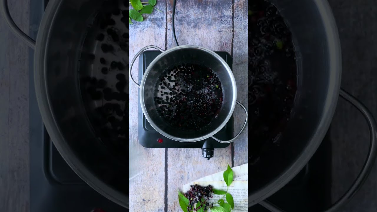 Holunderbeerensirup aus frischen Holunderbeeren selber machen #shorts ...