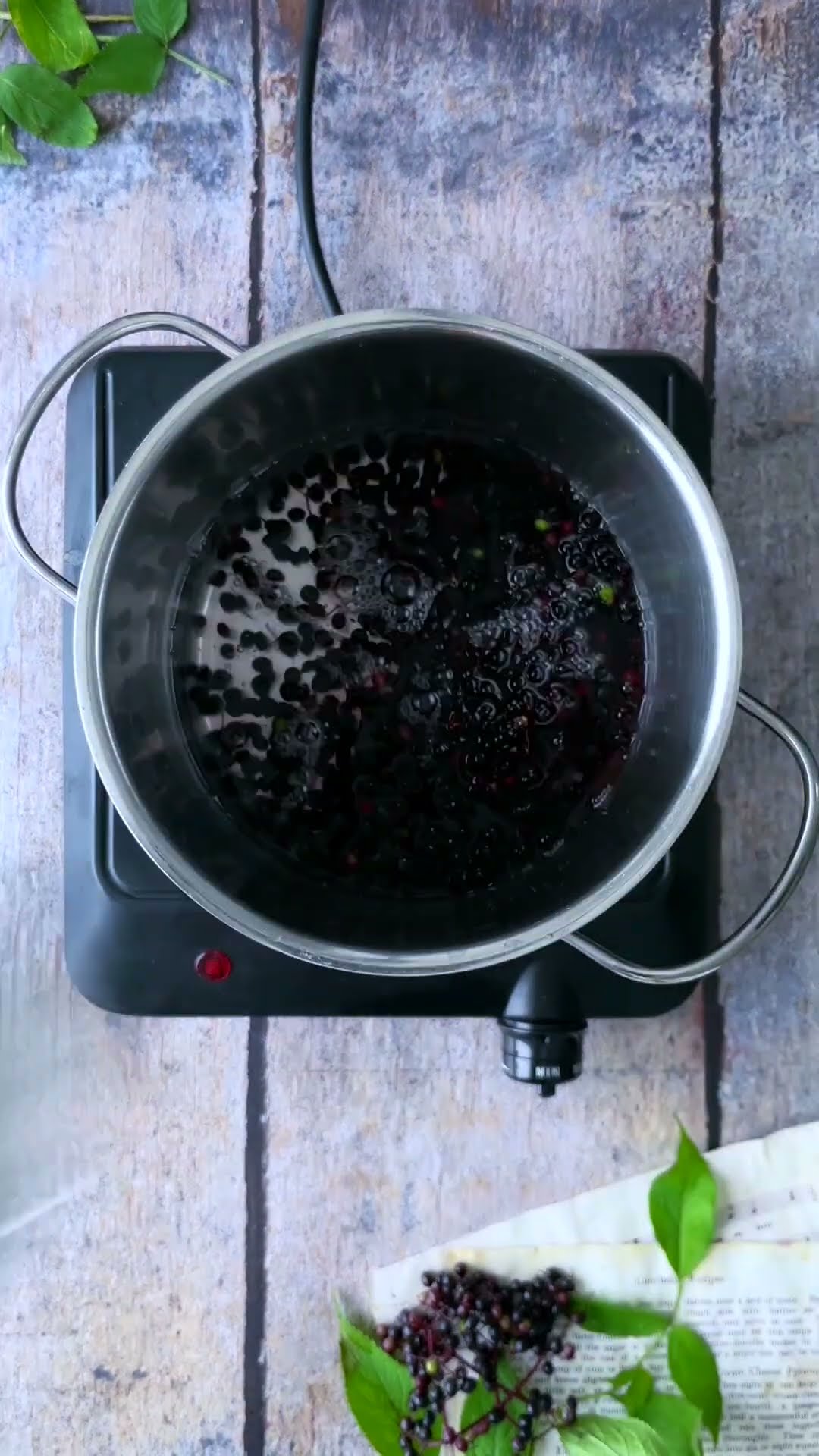 Holunderbeerensirup aus frischen Holunderbeeren selber machen #shorts ...
