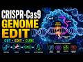 🧬 CRISPR-Cas9 Genome Editing | Rewriting the Code of Life 🔬⚡