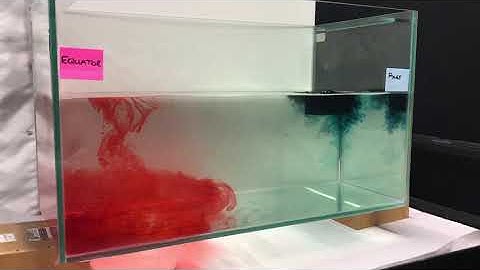 Thermohaline Circulation Experiment